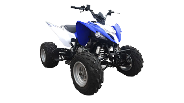 250CC BUGGY